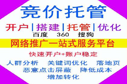 行业领先企业如何通过SEM运营提升ROI